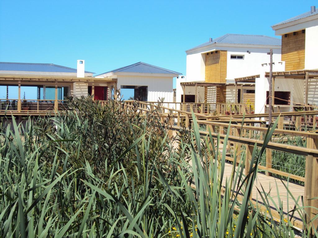 Las Eduardas La Paloma Buitenkant foto
